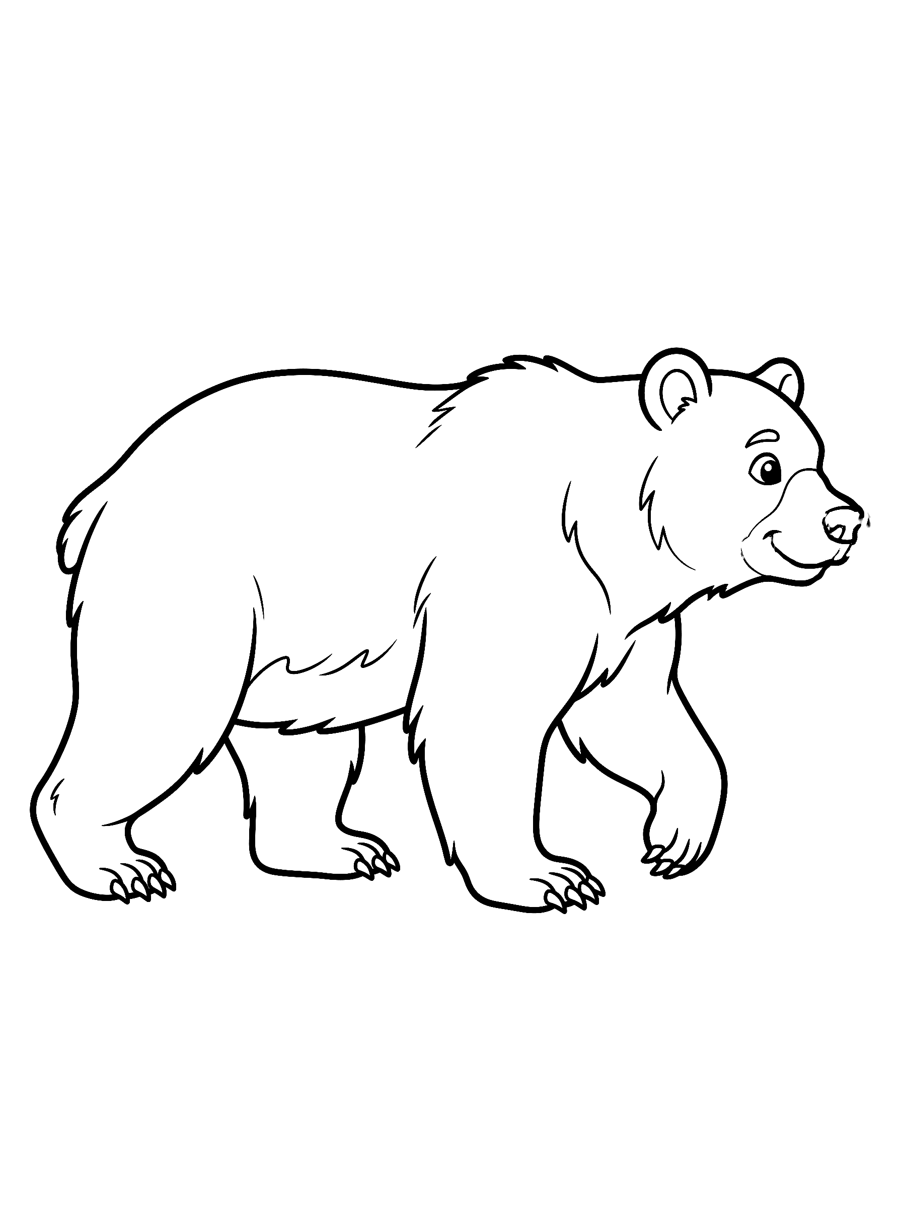 Coloriage Ours