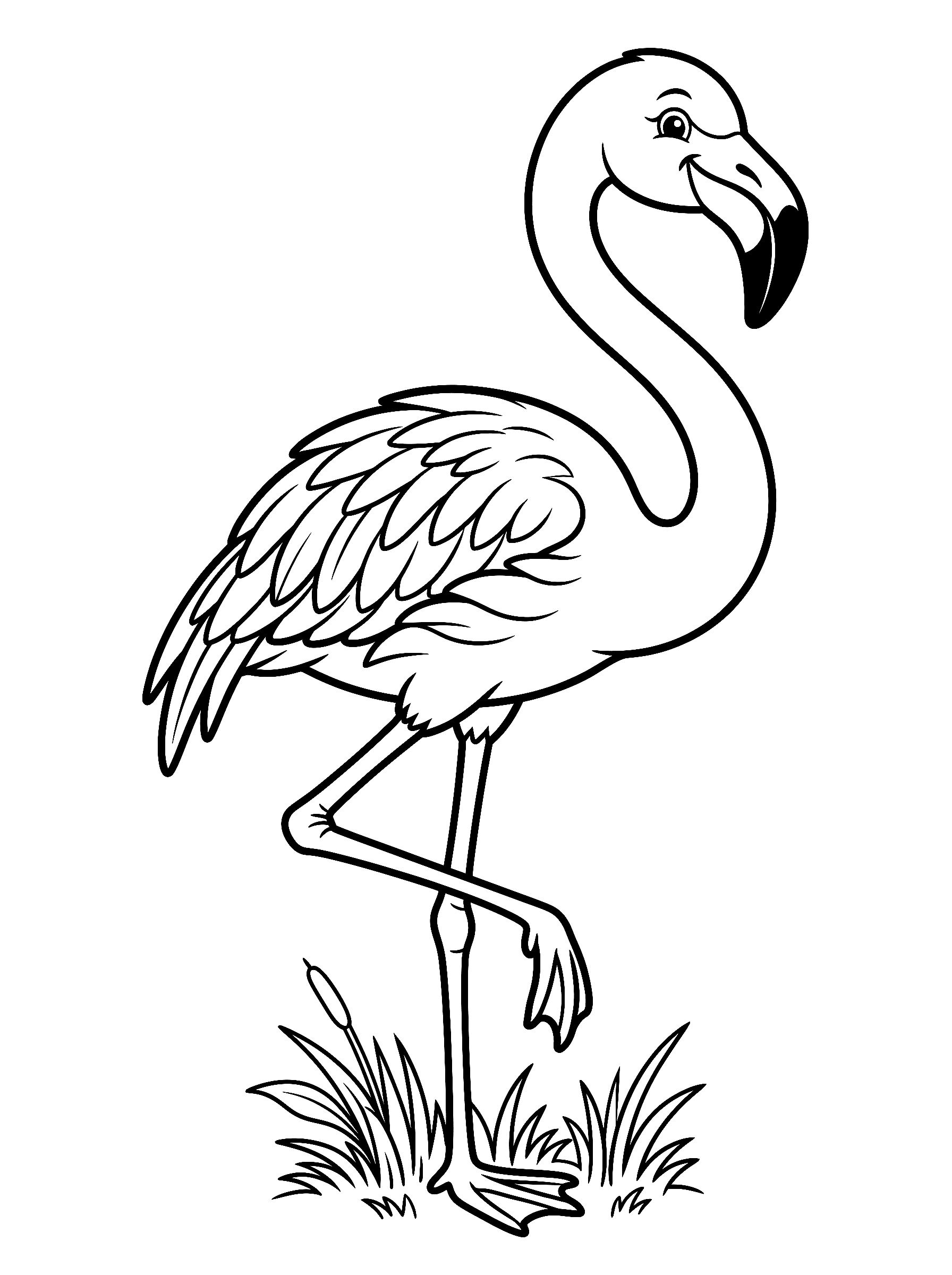 Kleurplaat Flamingo